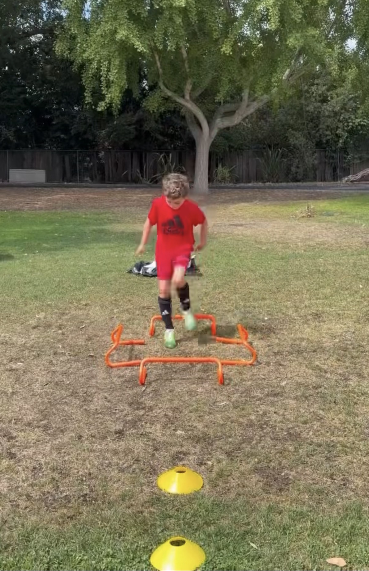 Player stepping through orange agility hurdles on the grass